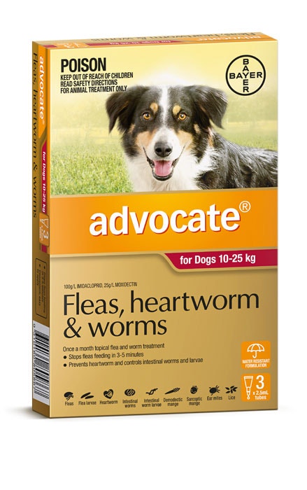 Advocate for dogs shop chemist warehouse