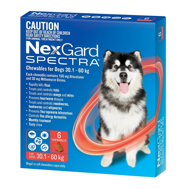 Nexgard spectra chemist warehouse deals