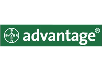 Advantage